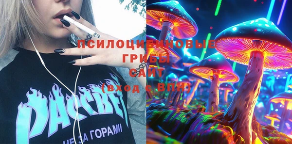 шишки Алзамай