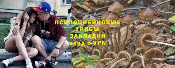 apvp Алексин
