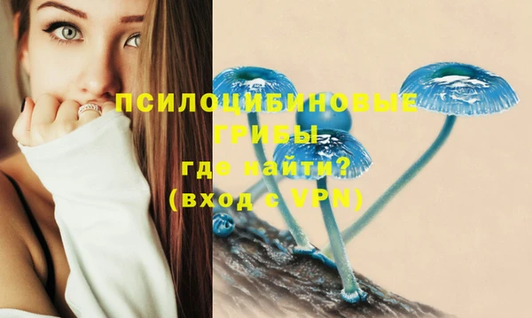 кокс Алексеевка